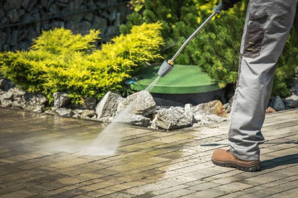 Best Roof Cleaning and Mildew Removal in Byron, GA